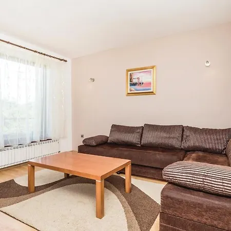 Apartament Damir With Sea View